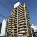 NEOダイキョー甲子園II