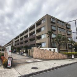 ダイアパレスコータ コートサウス・ウエスト