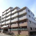 ライオンズマンション常盤平さくら通り