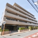 ルピナス橋本南