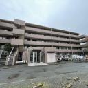 ジェームス湘南