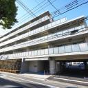 アデニウム篠崎