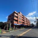 シャンボール弦巻