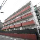 サンライズ蓮根