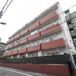 サンライズ蓮根