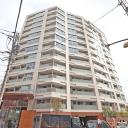 THE　CONOE　代官山