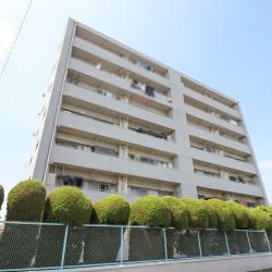 川口青木住宅 