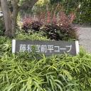 藤和宮前平コープ