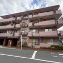 セザール第3武蔵新城