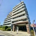 コスモ立川サングレイス