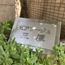 ピアレージュ三鷹