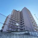 パインフィールド緑地公園