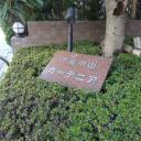 下総中山ガーデニア