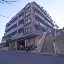 プラハ十日市場