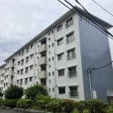 洋光台南第一団地4-11号棟