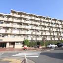 セザールお花茶屋