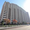 トキアスデライト・ウイング