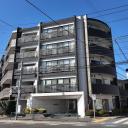 アデニウム西葛西