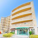 アデニウム津田沼