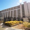 ルネ・エアズヒルIV番館