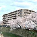 ナイスエスアリーナ弘明寺