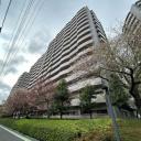 シティヴェールふじみ野三番館