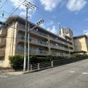 スターハイツ住吉川