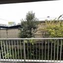 蓮根サンパワー