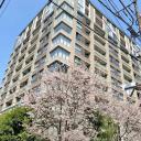 三番町パークテラス桜苑