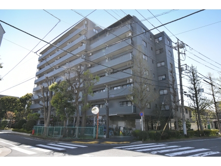 サンライフ新小岩親水公園
