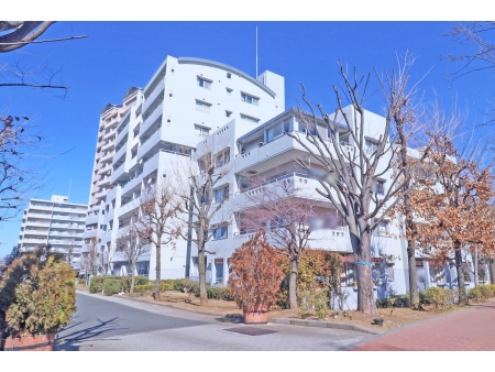 蓮生寺公園通り　三番街