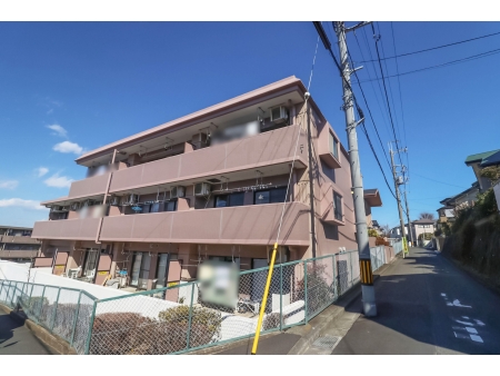 キャッスルマンション南平