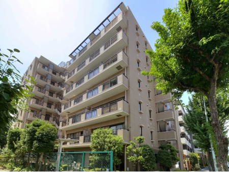 ハイラーク田無本町