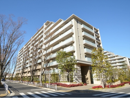 ひばりが丘フィールズけやき通り