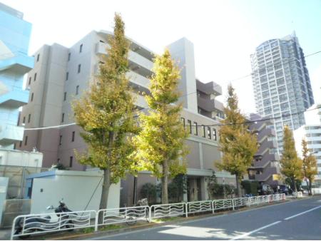 モア・ステージ辰巳