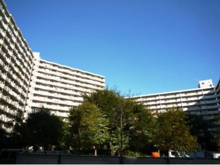 光が丘パークタウン大通り南