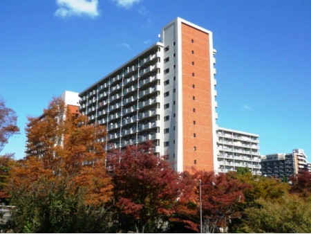 光が丘パークタウン大通り北