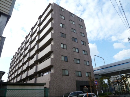 ルピナス多摩川
