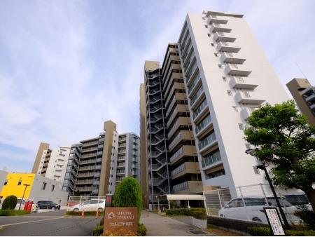 ウェルピア井高野