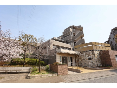 アルス逆瀬川千種