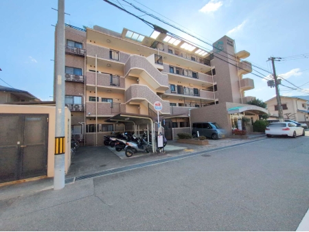 グローバル宝塚小浜