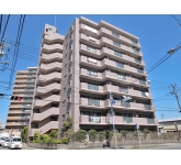 パラッシオ市川中山