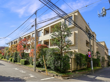 ハイコート浜田山