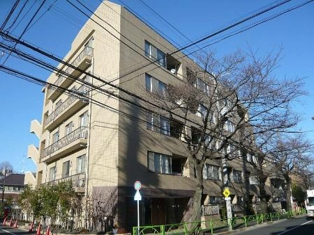 サンフル碑文谷碑さくら通り ノースサイド