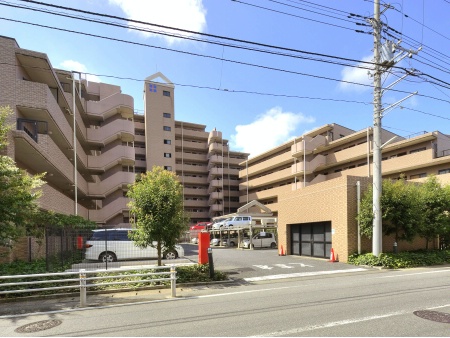 ベルドゥムール南柏