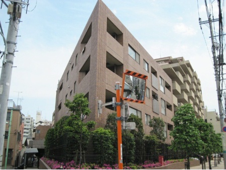 アデニウム武蔵小山