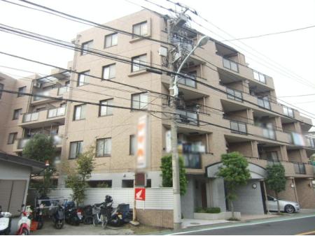 セザール西武柳沢