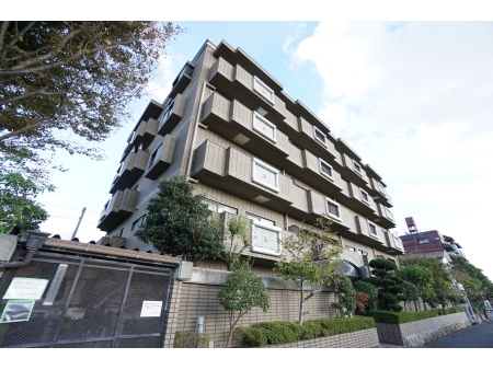 グレーシアス芦屋川