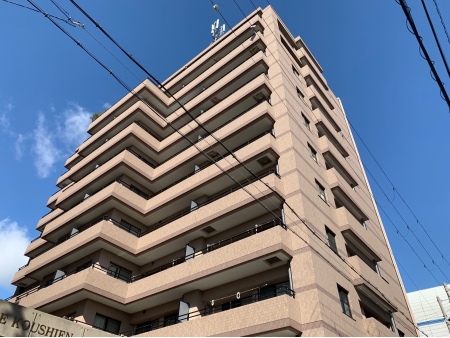 ネオ甲子園