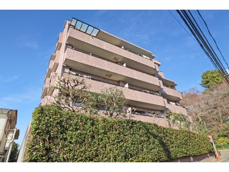 クレッセント上野毛3